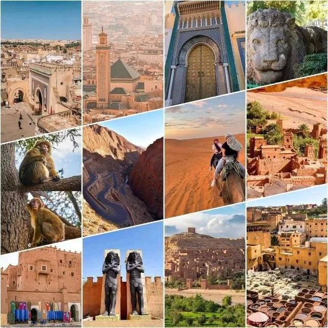 w-p100 ¿Por qué elegirnos?