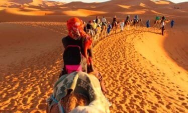 Fantasia de paseos en camello en el desierto de Marruecos.